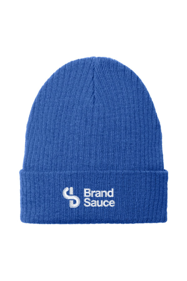 Recycled Beanie